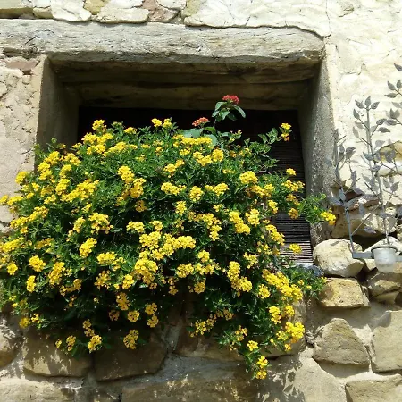 Nyaraló Pedragos Sales del Llierca