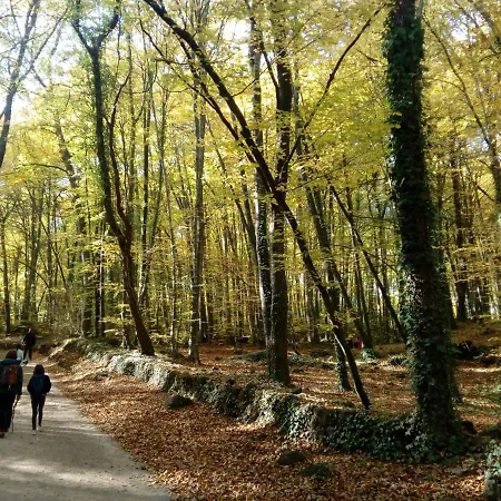 Nyaraló Pedragos