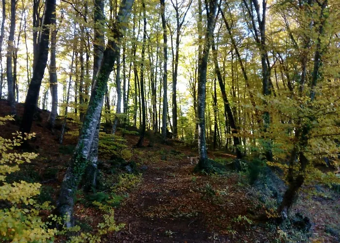 度假居 Pedragos *