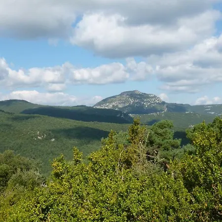 Tatil Evi Pedragos